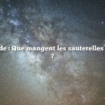 Réponse rapide : Que mangent les sauterelles et les grillons ?